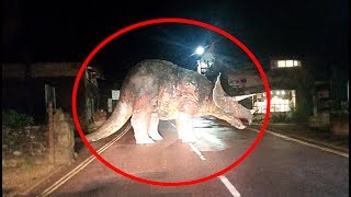 5 Real Life Dinosaurs Caught On Camera [upl. by Tallie762]