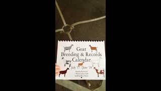 Dairy Does Goat Breeding and Records Calendar [upl. by Gnem]