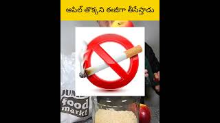 Apple thokkani easy ga theyseysthadu facts amazingfacts telugu [upl. by Tremain]