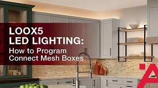 Loox5 LED Lighting How to Program Connect Mesh Boxes [upl. by Gunthar136]