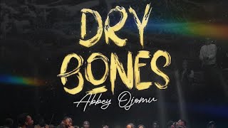 Dry Bones by Abbey Ojomu Lyrics Video [upl. by Arua]