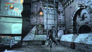 Bloodborne  Central Yharnam Madmans Knowledge Location Carrion Crows Brick Troll Sewers [upl. by Absa636]