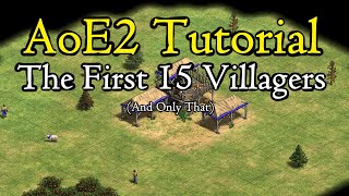 Beginner guide to the first 15 villagers AoE2 [upl. by Iznek]