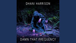 Damn That Frequency [upl. by Franklin]