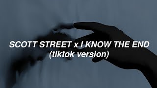 Phoebe Bridgers  Scott street x I know the end tiktok version TraduçãoLegendado [upl. by Avonasac]