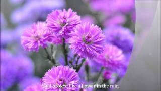 FLOWER IN THE RAIN by Jaci Velasquez with lyrics [upl. by Virgy]