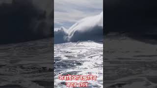 আল্লামা সাঈদী সাহেব ওয়াজ মিজানুর রহমান আল আজহারী islamicvideo​ waz​ waj​ trending​ waz​ [upl. by Dickman]