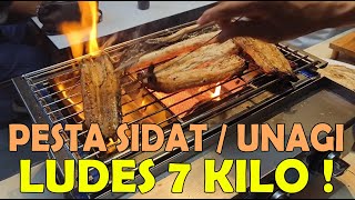 PESTA SIDAT  UNAGI LUDES 7 KILO [upl. by Etolas]