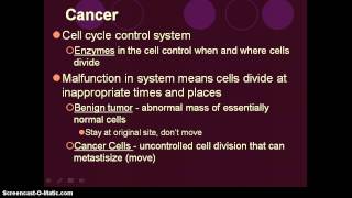 Biology One Comparison Mitosis and Meiosis [upl. by Zales596]