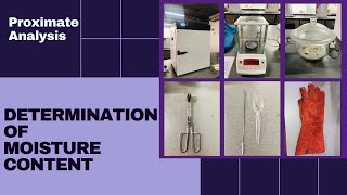 Determination of Moisture Content Proximate Analysis [upl. by Arolf]