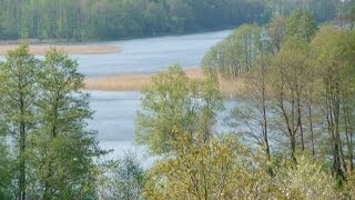 Kaszuby  działka rekreacyjna z domkiem nad jeziorem na sprzedaż [upl. by Rochkind]