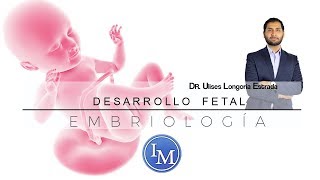 Embriología  Desarrollo Fetal  Resumen [upl. by Camile]