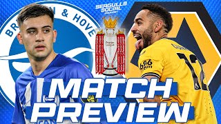 MATCH PREVIEW Brighton vs Wolves [upl. by Maxia]