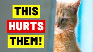 These Everyday Things HURT Your Cats Feelings [upl. by Teerpnam]