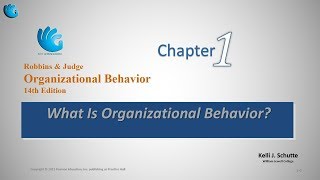 What is Organizational Behavior  Organizational Behavior Chapter 1 [upl. by Etram]