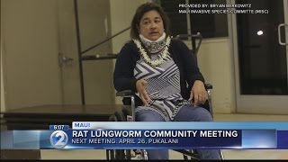 Rat lungworm disease community meetings to be held on Maui [upl. by Menken]