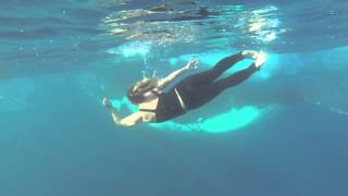 Underwater Love  Swimming with Humpback Whales Gold Coast INCREDIBLE [upl. by Alpert]