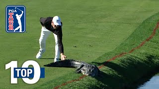 Top 10 Animal Encounters on the PGA TOUR [upl. by Valentine]