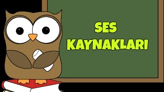 Ses Kaynakları Nelerdir Kaça Ayrılır [upl. by Anilatsyrc28]