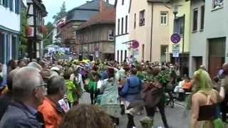 Groß Umstadt Winzerfest 2014 Umzug Teil 2 [upl. by Trela531]