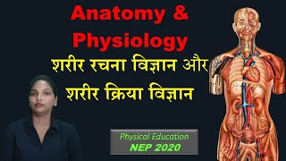 Anatomy amp Physiology शरीर रचना विज्ञान और शरीर क्रिया विज्ञानDeepali Nigam NEP2020 [upl. by Leihcey460]