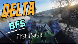 California Delta BFS Fishing [upl. by Blas613]