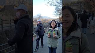 Creamy matcha ice cream at Saiko IyashinoSato Nenba Traditional Japanese Village [upl. by Enalb]