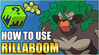 Best Rillaboom Moveset Guide  How To Use Rillaboom Competitive VGC Pokemon Scarlet Violet [upl. by Goldsworthy]