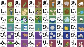 【言葉を覚える】 ひらがなをおぼえよう！拗音・促音 ―きゃきゅきょぎゃぎゅぎょ 動く絵本― ◉平仮名 ◉ Learn Japanese Hiragana ◉知育 ◉幼児向けアニメ ◉赤ちゃん [upl. by Grunenwald]