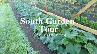 Mini Garden Tour  June 2024 [upl. by Drofnelg]