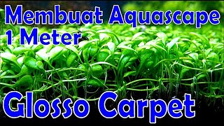 100cm Aquascape With Glossostigma Carpet Plants  Step by Step Tutorial [upl. by Toblat]