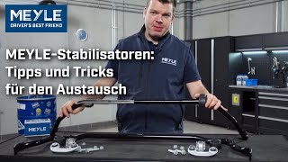 MEYLEStabilisatoren Tipps und Tricks für den Austausch [upl. by Bourgeois]