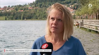 Åre kämpar för att återställa byn efter översvämningen  TV4 Nyheterna  TV4 amp TV4 Play [upl. by Fatma]