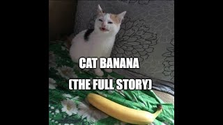 Cat Banana Lore [upl. by Htrowslle]