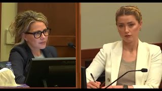 Psychologist wipes the floor with Amber Heards lawyer Part 1 [upl. by Ruenhcs216]