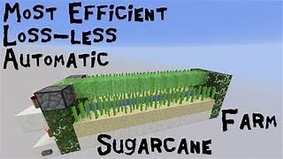 The Most Efficient Sugarcane farm in minecraft How To Biuld Part 2 [upl. by Yarased]