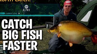 Catch Big Fish Faster  Carp Tourney  Fishing Sim World  Guide [upl. by Etirugram]