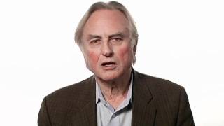 Richard Dawkins Faith  Big Think [upl. by Clementia]