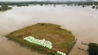 Wauchope Floods 2021 [upl. by Ilahsiav]