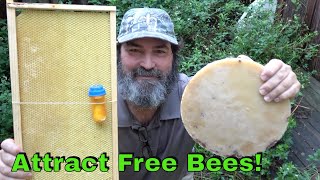 How To Attract Bees To Your Bee Box [upl. by Hirasuna]