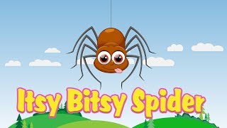 Itsy Bitsy Spider Nursery Rhyme With Lyrics  Cartoon Animation Rhymes amp Songs for Children [upl. by Aliled171]