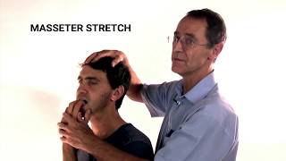 How to Stretch the Masseter Muscle  Trigger Point Therapy [upl. by Eibber]