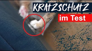 Kratzschutz für Katzen Funktioniert das die AntiKratzFolie auf dem Sofa Ein Test [upl. by Nahtnahoj]