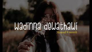 වඩින්න දේවතාවි  wadinna dewathawi  Ras them song  slowed and reverb [upl. by Macintyre644]