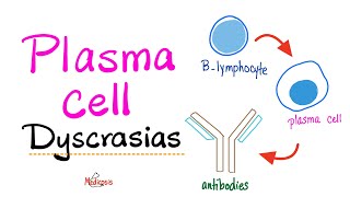 Multiple Myeloma Waldenström macroglobulinemia MGUS MGRS  Plasma Cell Dyscrasias  Introduction [upl. by Ruy]