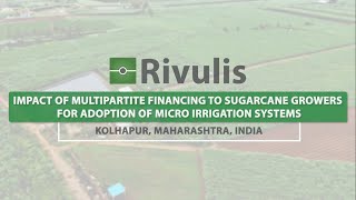 Impact of Multipartite Financing to Sugarcane Growers for adoption of MIS English Rivulis India [upl. by Leahcimnaj880]