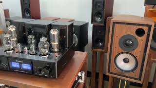 SoundArtist LS59 Speakers demo with Willsenton R800i 300B 845 tube amplifier [upl. by Sirrom]