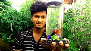 How to make Betta Fish Tank at Home  செலவே இல்லாமல் Fish Tank செய்யலாம் வாங்க  Vijay Ideas [upl. by Konyn]