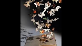 Butterfly Book Sculpture DIY [upl. by Enyamert]