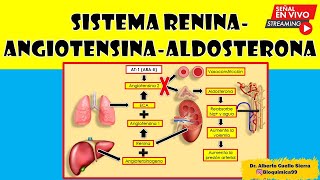 SISTEMA RENINA  ANGIOTENSINA  ALDOSTERONA [upl. by Norean]